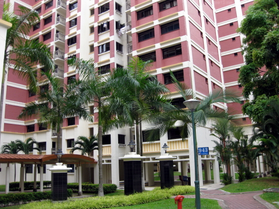 Blk 943 Hougang Street 92 (Hougang), HDB 5 Rooms #246632